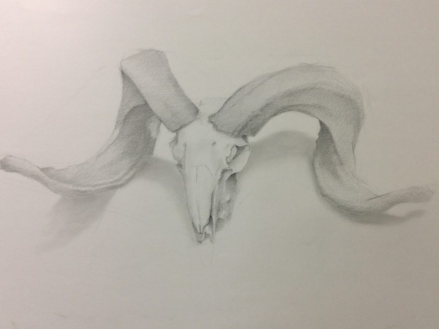 Crane de bélier, Graphite sur Canssons, 23x35pc